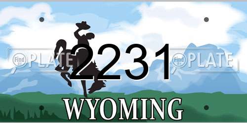 2231 Wyoming License Plate
