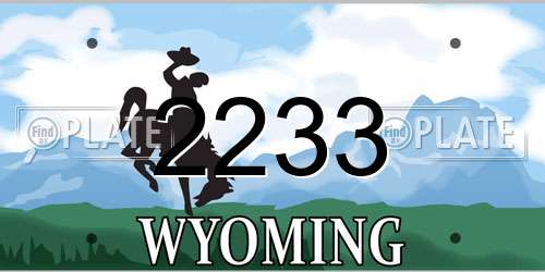 2233 Wyoming License Plate