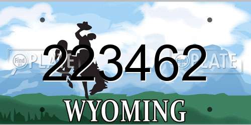 223462 Wyoming License Plate