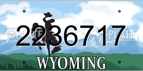 2236717 Wyoming License Plate