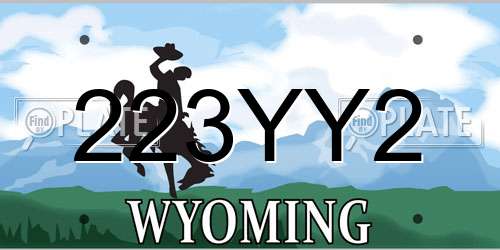 223YY2 Wyoming License Plate