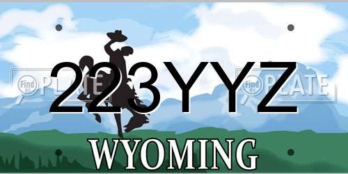 223YYZ Wyoming License Plate