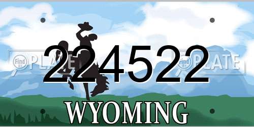 224522 Wyoming License Plate