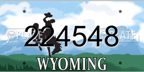 224548 Wyoming License Plate