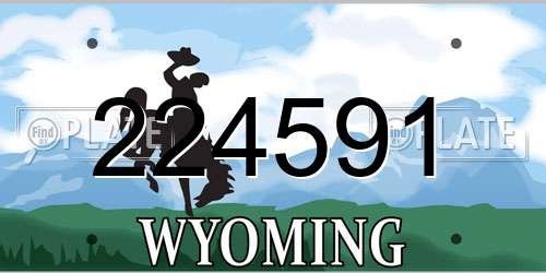 224591 Wyoming License Plate