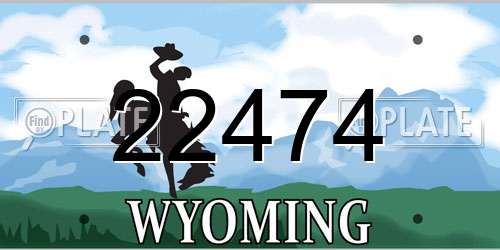 22474 Wyoming License Plate