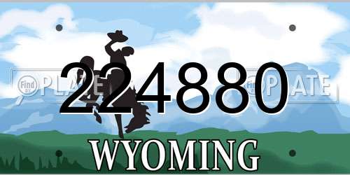 224880 Wyoming License Plate