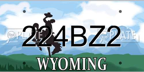 224BZ2 Wyoming License Plate