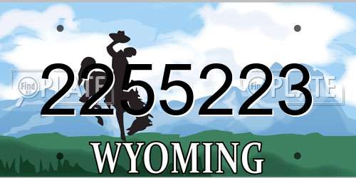 2255223 Wyoming License Plate
