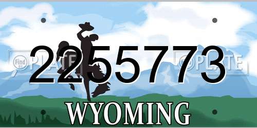 2255773 Wyoming License Plate