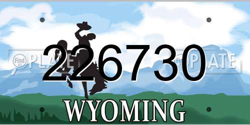 226730 Wyoming License Plate