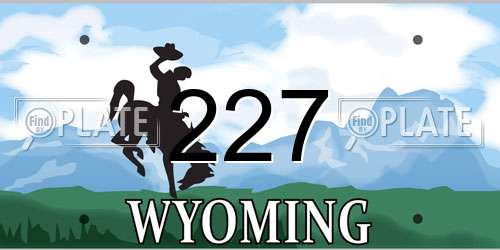 227 Wyoming License Plate