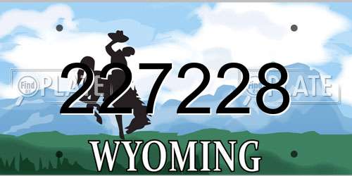 227228 Wyoming License Plate