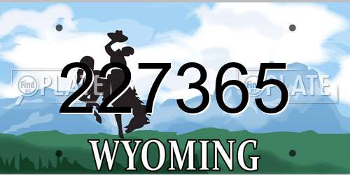 227365 Wyoming License Plate