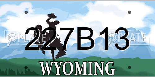 227B13 Wyoming License Plate