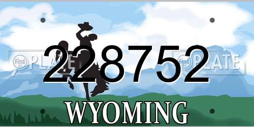 228752 Wyoming License Plate