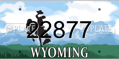 22877 Wyoming License Plate