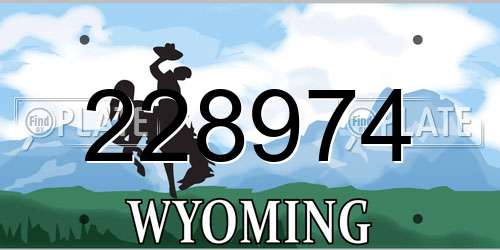 228974 Wyoming License Plate