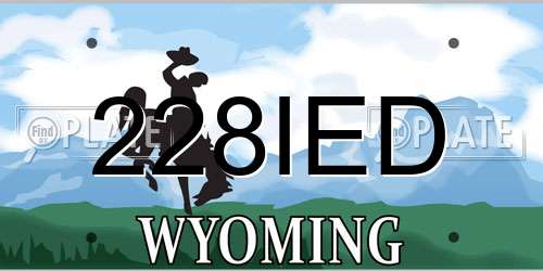 228IED Wyoming License Plate