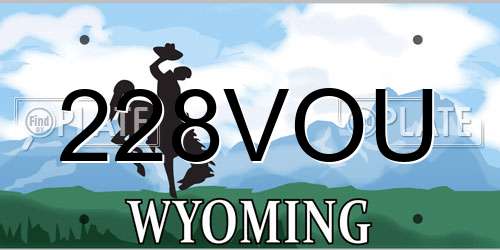 228VOU Wyoming License Plate
