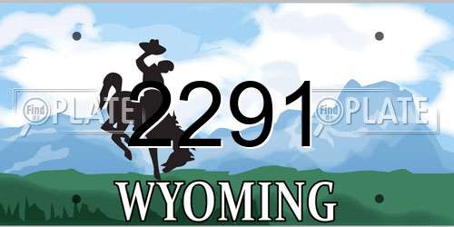 2291 Wyoming License Plate