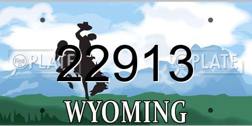22913 Wyoming License Plate