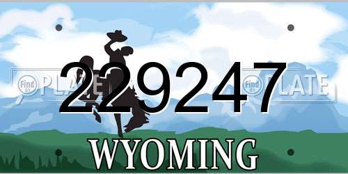 229247 Wyoming License Plate