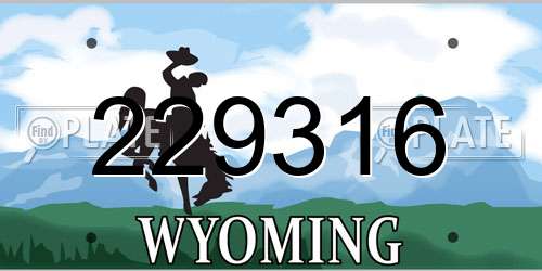 229316 Wyoming License Plate