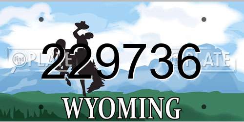 229736 Wyoming License Plate