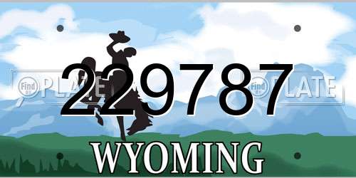 229787 Wyoming License Plate