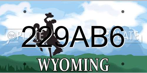 229AB6 Wyoming License Plate