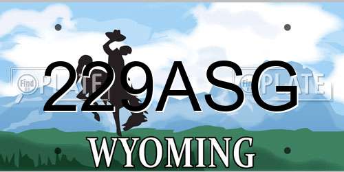 229ASG Wyoming License Plate