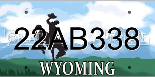 22AB338 Wyoming License Plate