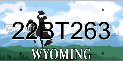 22BT263 Wyoming License Plate