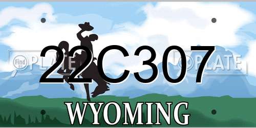 22C307 Wyoming License Plate