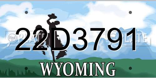 22D3791 Wyoming License Plate
