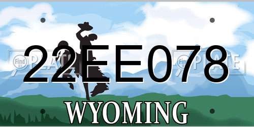 22EE078 Wyoming License Plate