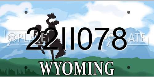 22II078 Wyoming License Plate