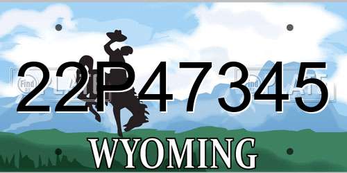 22P47345 Wyoming License Plate