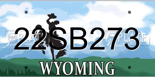 22SB273 Wyoming License Plate