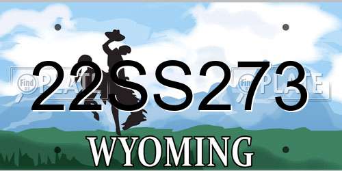 22SS273 Wyoming License Plate