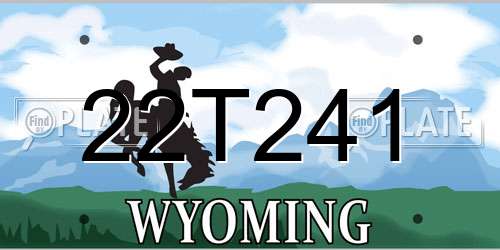 22T241 Wyoming License Plate