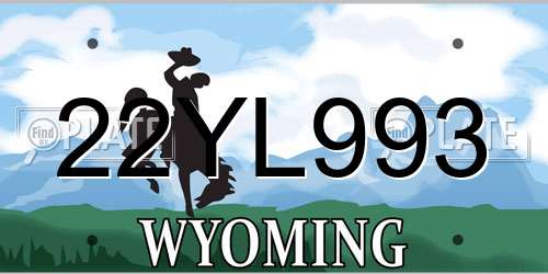 22YL993 Wyoming License Plate