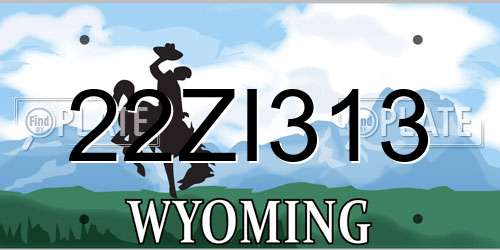 22ZI313 Wyoming License Plate