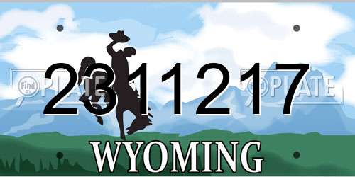 2311217 Wyoming License Plate