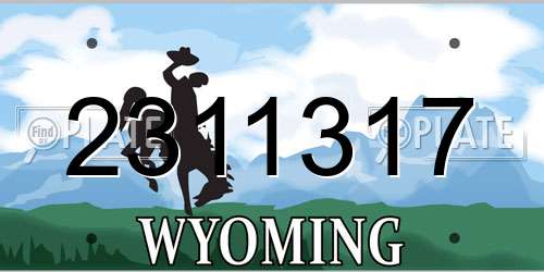 2311317 Wyoming License Plate