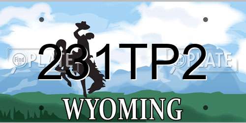 231TP2 Wyoming License Plate