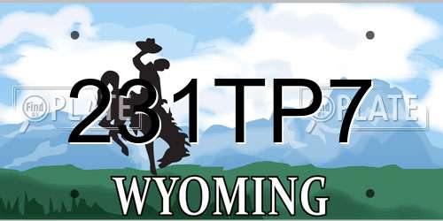 231TP7 Wyoming License Plate