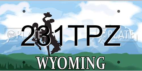 231TPZ Wyoming License Plate