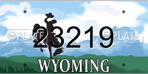 23219 Wyoming License Plate